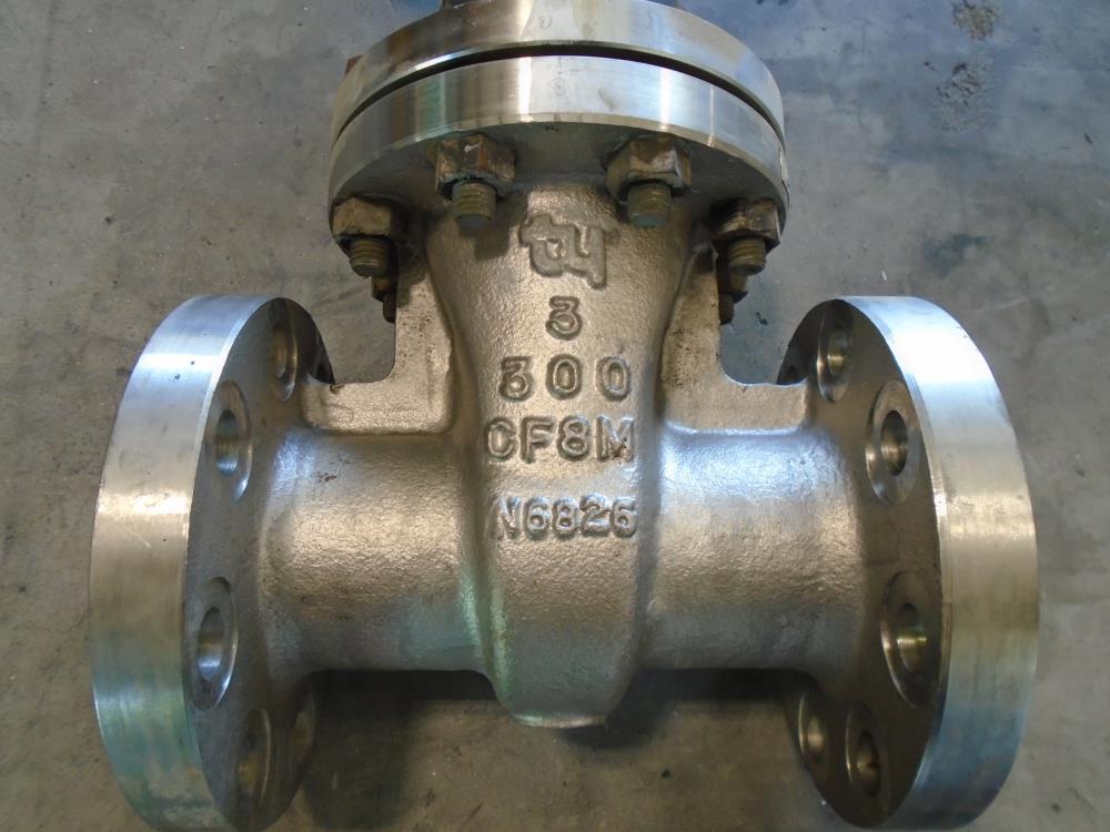 TY 3" 300# CF8M Gate Valve 201RF-CF8M-12